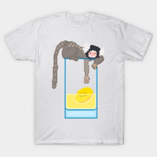 Marmoset with banana drink T-Shirt